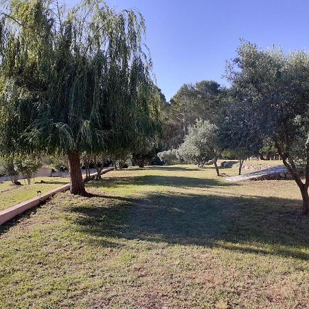 La Bastide Des Selves Bed & Breakfast Draguignan Bagian luar foto